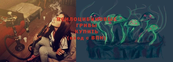 прущие грибы Алексеевка