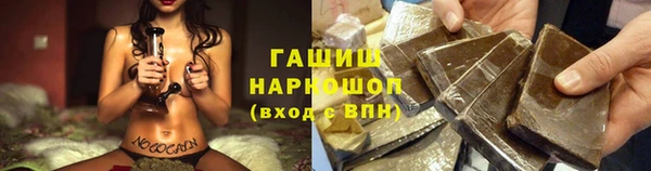 стафф Алзамай
