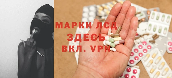 стафф Алзамай