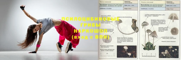прущие грибы Алексеевка
