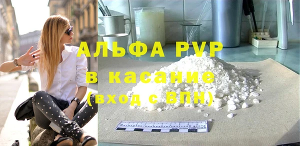 стафф Алзамай