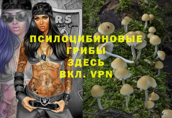 прущие грибы Алексеевка