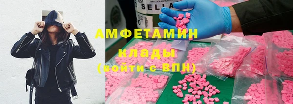 стафф Алзамай
